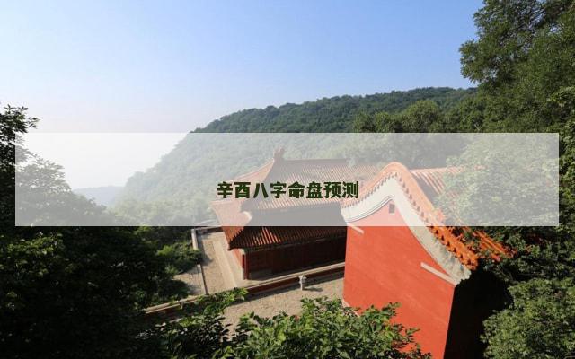 辛酉八字命盘预测
