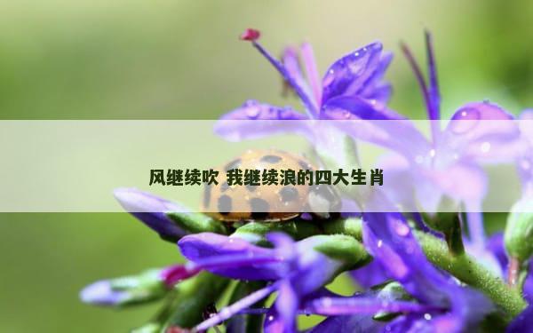 风继续吹 我继续浪的四大生肖