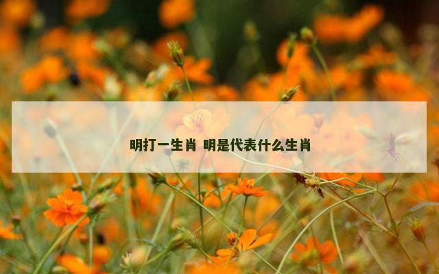 明打一生肖 明是代表什么生肖