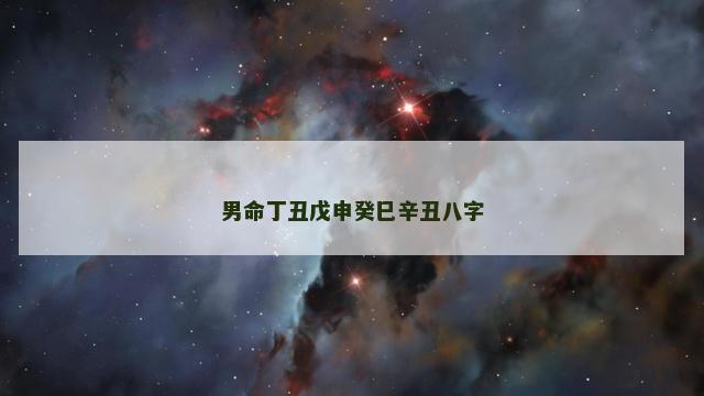 男命丁丑戊申癸巳辛丑八字