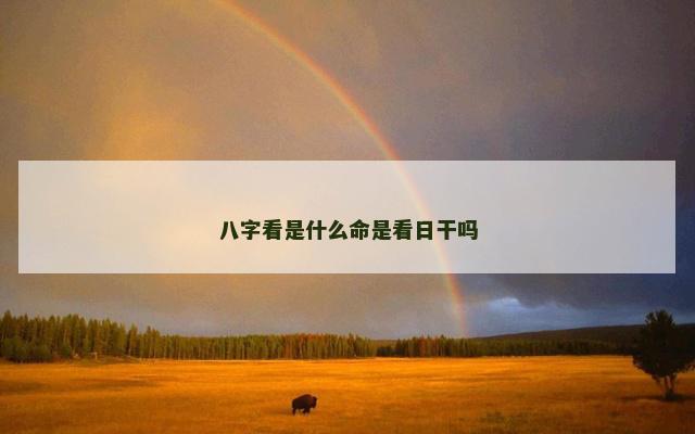 八字看是什么命是看日干吗