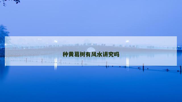 种黄葛树有风水讲究吗