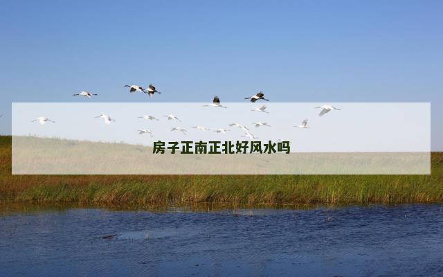 房子正南正北好风水吗