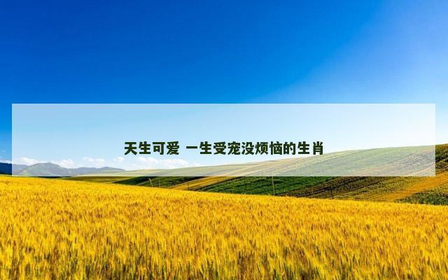 天生可爱 一生受宠没烦恼的生肖