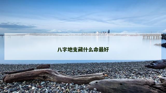 八字地支藏什么命最好