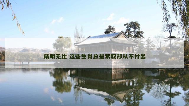 精明无比 这些生肖总是索取却从不付出