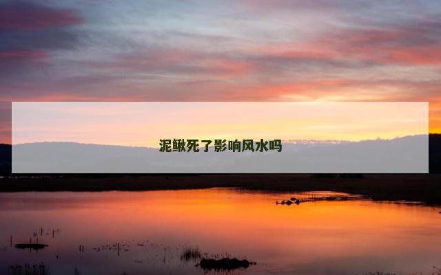 泥鳅死了影响风水吗
