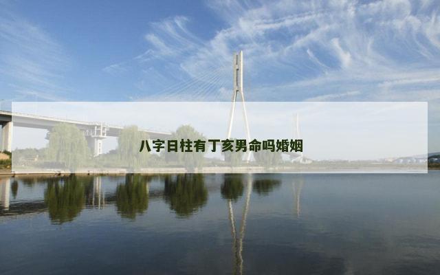 八字日柱有丁亥男命吗婚姻