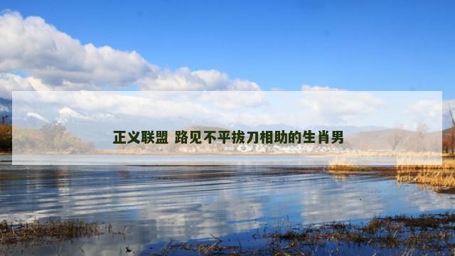 正义联盟 路见不平拔刀相助的生肖男