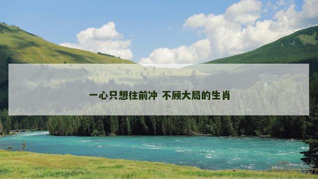 一心只想往前冲 不顾大局的生肖