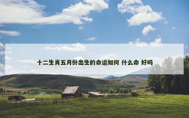 十二生肖五月份出生的命运如何 什么命 好吗