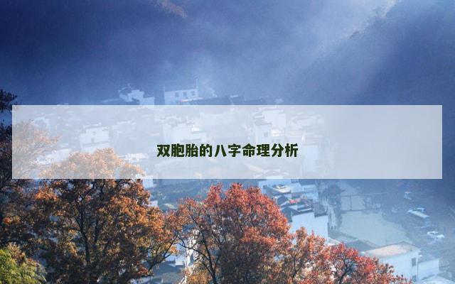 双胞胎的八字命理分析