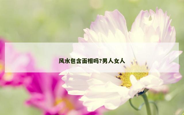 风水包含面相吗?男人女人