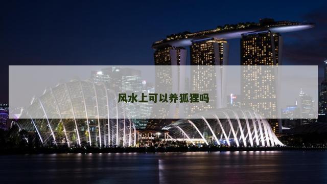 风水上可以养狐狸吗