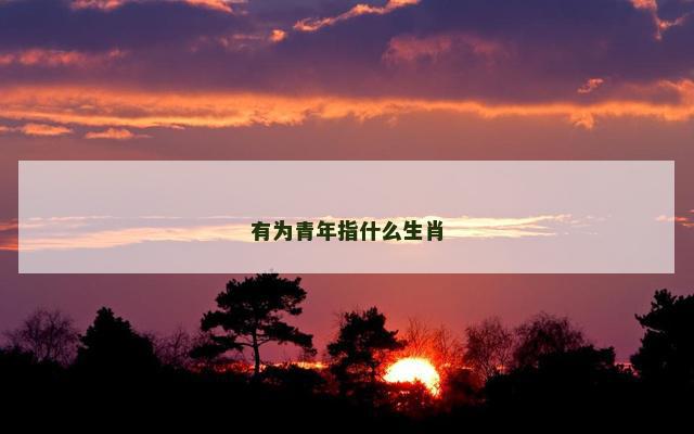 有为青年指什么生肖