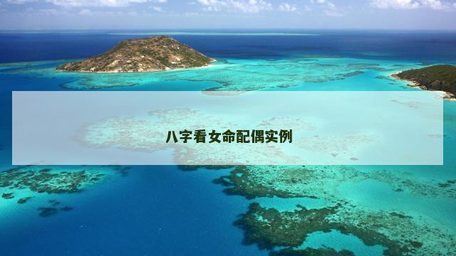 八字看女命配偶实例