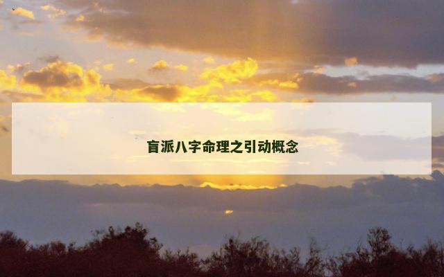 盲派八字命理之引动概念