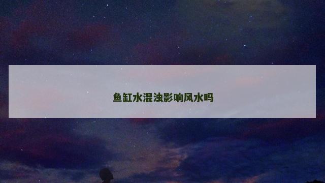 鱼缸水混浊影响风水吗