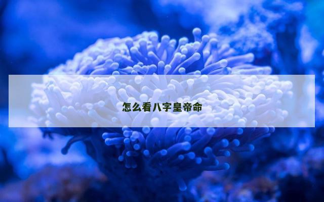 怎么看八字皇帝命