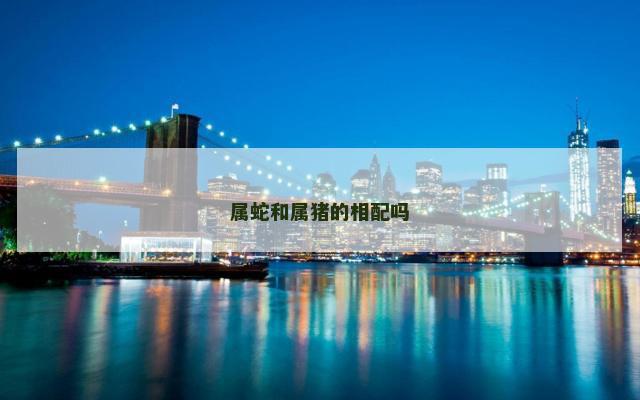 属蛇和属猪的相配吗