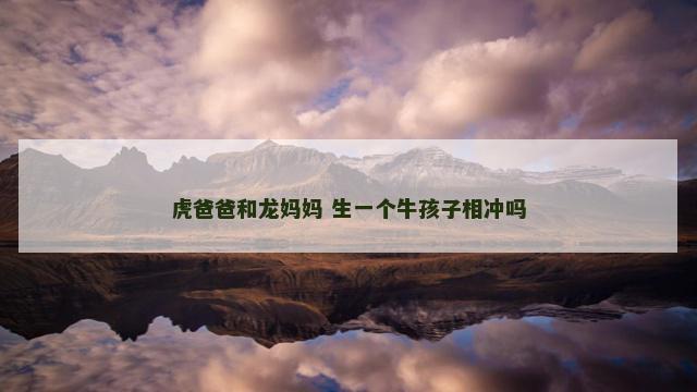 虎爸爸和龙妈妈 生一个牛孩子相冲吗
