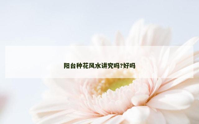 阳台种花风水讲究吗?好吗