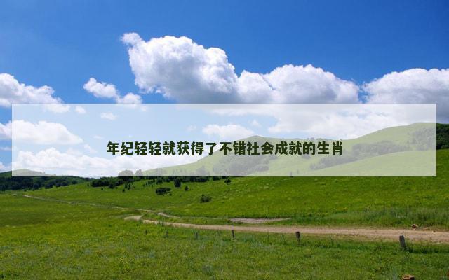 年纪轻轻就获得了不错社会成就的生肖