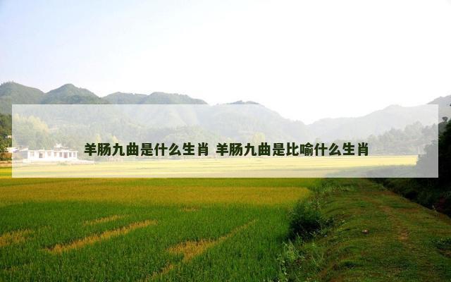 羊肠九曲是什么生肖 羊肠九曲是比喻什么生肖