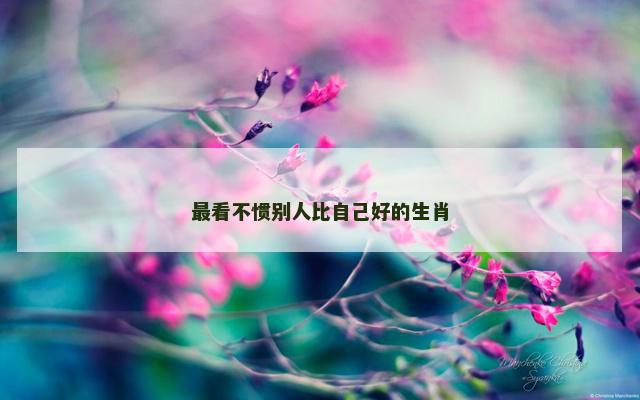 最看不惯别人比自己好的生肖