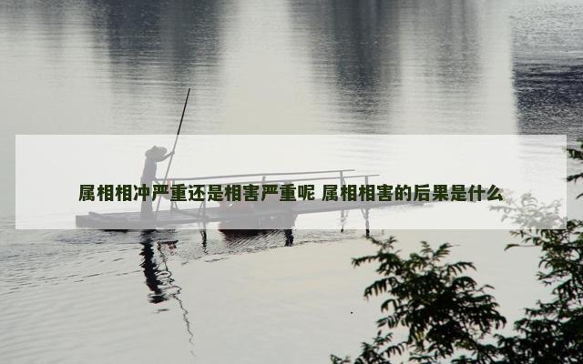 属相相冲严重还是相害严重呢 属相相害的后果是什么