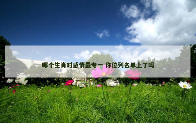 哪个生肖对感情最专一 你位列名单上了吗