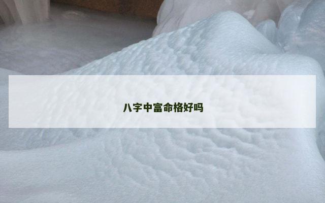 八字中富命格好吗