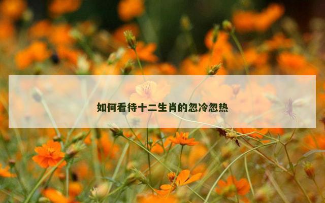 如何看待十二生肖的忽冷忽热