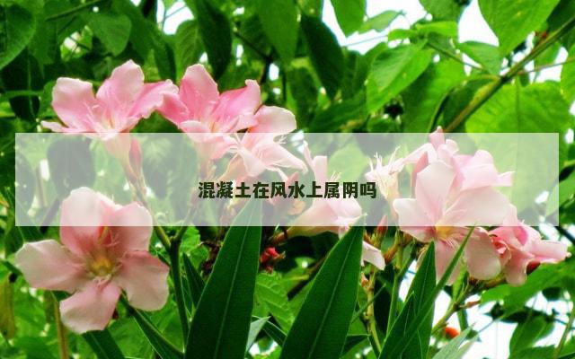 混凝土在风水上属阴吗