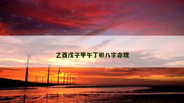 乙酉戊子甲午丁卯八字命理