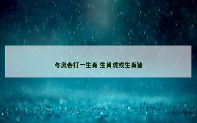 冬奥会打一生肖 生肖虎或生肖猪