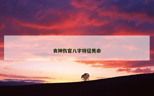 食神伤官八字特征男命