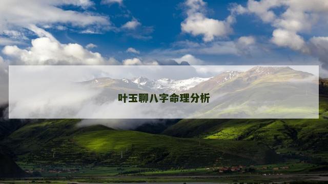 叶玉聊八字命理分析