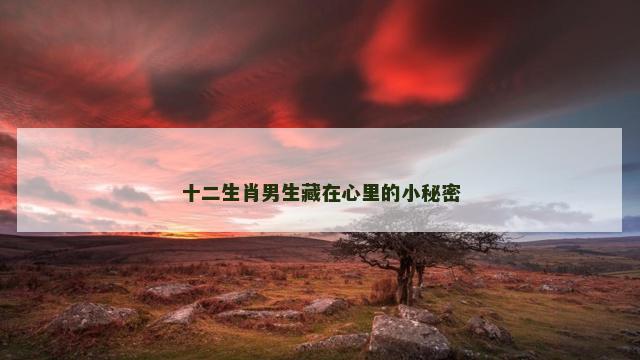 十二生肖男生藏在心里的小秘密