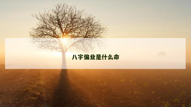 八字偏业是什么命