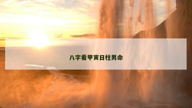 八字看甲寅日柱男命