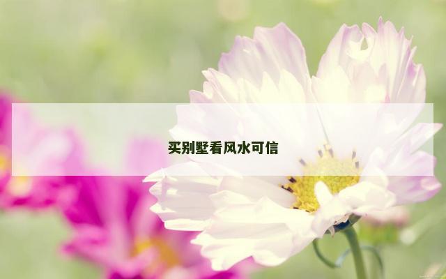 买别墅看风水可信