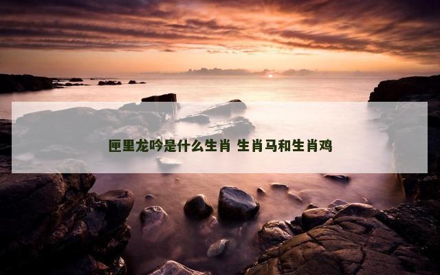 匣里龙吟是什么生肖 生肖马和生肖鸡