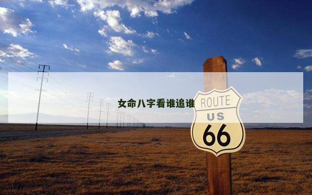 女命八字看谁追谁