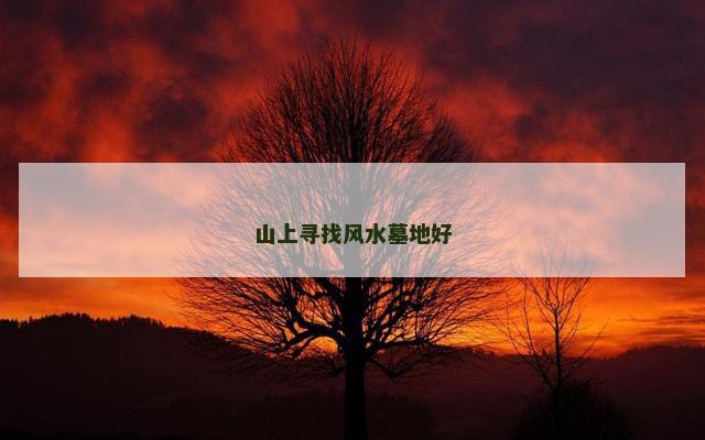 山上寻找风水墓地好