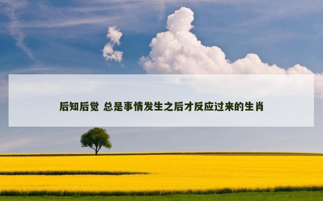后知后觉 总是事情发生之后才反应过来的生肖
