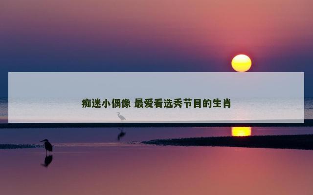 痴迷小偶像 最爱看选秀节目的生肖