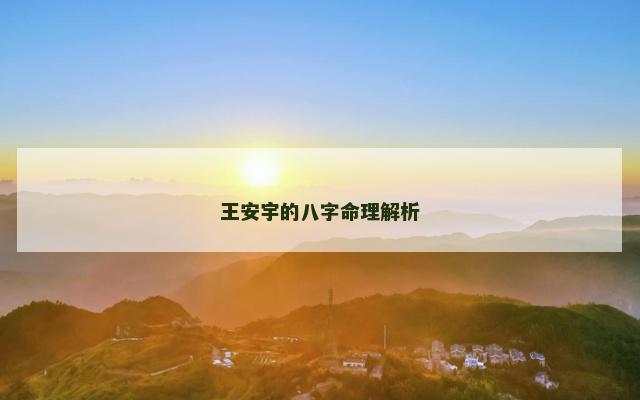 王安宇的八字命理解析