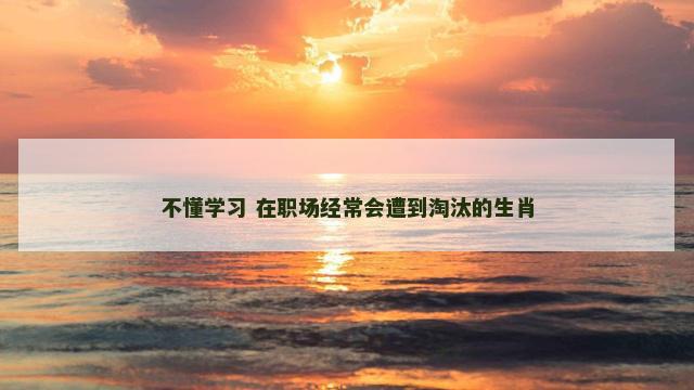 不懂学习 在职场经常会遭到淘汰的生肖