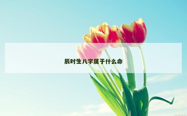 辰时生八字属于什么命